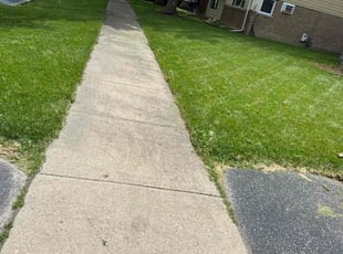 Gwen F.'s Lawn Service service result