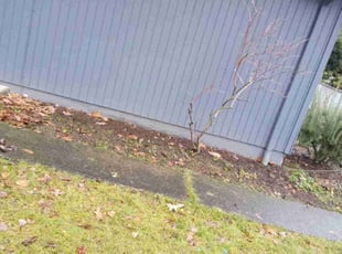 Cleanups by Riki Howry for Yudi W. in Milwaukie, OR