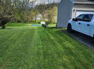 Patrick K.'s Lawn Mowing service result