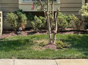 Weeding by Jose M Rodriguez for James H. in Alexandria, VA