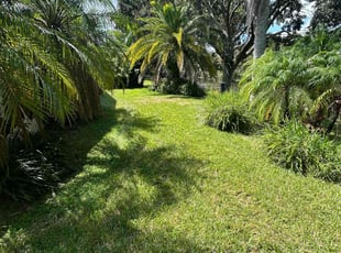 skylar k.'s Lawn Care service result