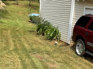 Bush Trimming by Ronald Jackson for Myreon S. in Covington, GA
