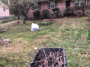 Leaf Removal by James Meredith jr for Nichele B. in Petersburg, VA