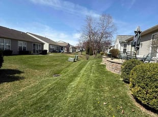 Anissha B.'s Lawn Mowing service result