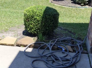 Bush Trimming by Louis Leneir for Njsane C. in Houston, TX