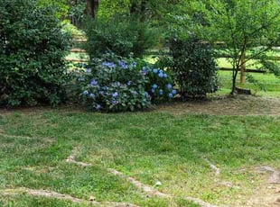 Weeding by Victor Gaspar for Tiona S. in Huntersville, NC
