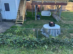 Bush Trimming by Thomas Albert for Roman G. in New Kensington, PA