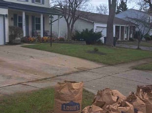 Leaf Removal by Tarah0 Reuther for Kasey C. in Columbus, OH
