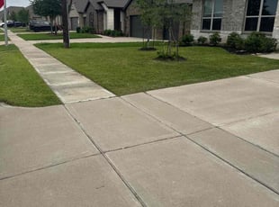 Weeding by Carlos Alvarez for Joseph R. in Cypress, TX
