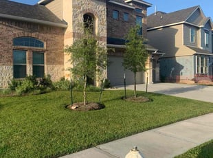 Willie Ruth S.'s Lawn Maintenance service result