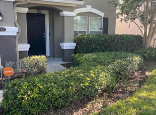 Bush Trimming by Ryan Toaston for Marie W. in Fruit Cove, FL