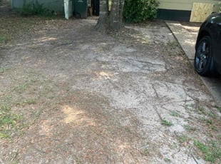 Leaf Removal by Herschell Bradley for David T. in Tallahassee, FL
