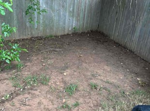 Leaf Removal by Imunique Hill for Ndaya M. in Broken Arrow, OK