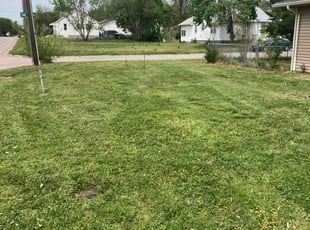 Bill M.'s Lawn Maintenance service result