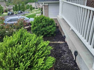 Bush Trimming by Eric Sandmann for Kevin T. in Cincinnati, OH