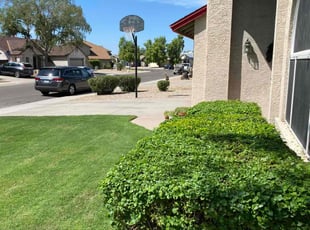 Bush Trimming by Bobby Parris for Curtis S. in Glendale, AZ