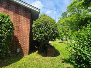 Bush Trimming by Jay M for Clay D. in Norfolk, VA