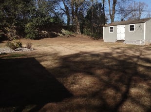 Leaf Removal by Michael Cherry for Matthew M. in Charlotte, NC