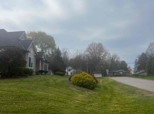 Joann C.'s Yard Cutting service result