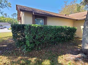Bush Trimming by Milynel Burgos for Ashley B. in Winter Springs, FL