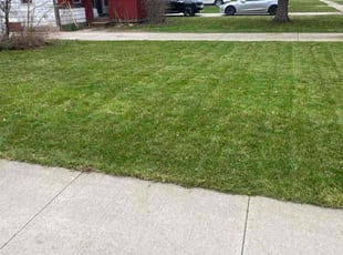 Leaf Removal by Troy Stokes for Hayden G. in Warren, MI