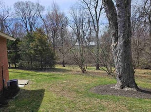 Cleanups by Rose Valle for Samantha S. in Fairfax, VA