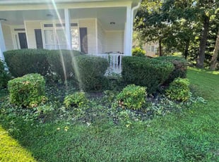 Cleanups by Zemery Woodruff for Tesha W. in Acworth, GA