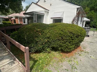 Bush Trimming by Chris Smith for Joseph B. in Indianapolis, IN