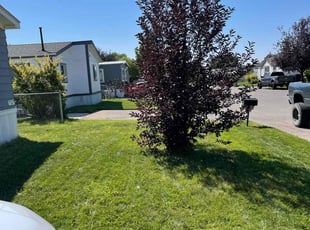 Lulu n.'s Grass Cutting service result