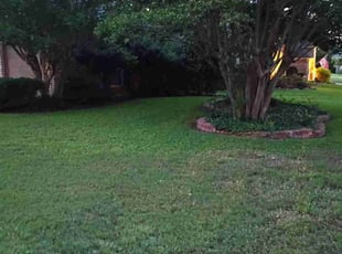 Sandy G.'s Flower Bed Weeding service result