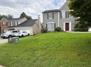 Alana H.'s Lawn Service service result