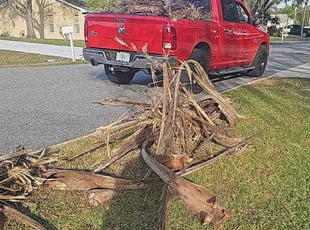 Leaf Removal by Meghan Prowell for Alafia Ranch R. in Land O' Lakes, FL