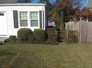 Bush Trimming by Trevor Philipp for Greg H. in Norfolk, VA