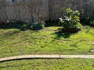 Cleanups by Bryan Ruiz for Panduranga P. in Austin, TX