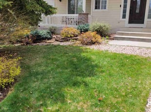 Leaf Removal by Brennen Spratte for Derian L. in Colorado Springs, CO