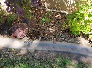 Weeding by Miguel Rodriguez for Alice E. in Stockton, CA