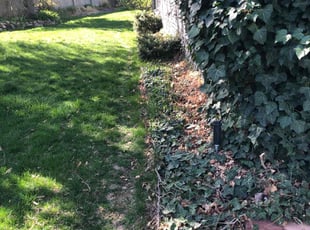 Cleanups by David Rordame for Rob w. in Salt Lake City, UT