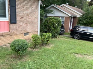 Bush Trimming by Ronald Martin for Angela H. in Charlotte, NC