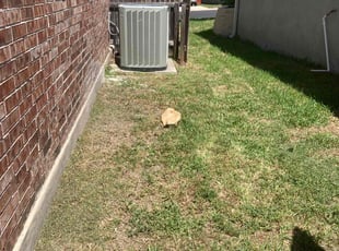 Cleanups by Fredrick Miller for Marla B. in San Antonio, TX