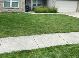 Josh E.'s Lawn Mowing Service service result