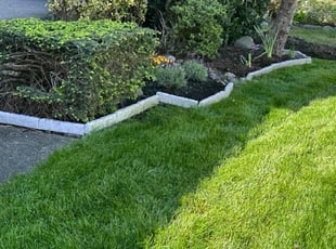 Gregory B.'s Lawn Service service result