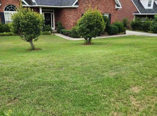 Kevin B.'s Lawn Mowing service result