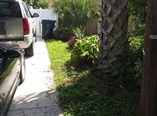 Bush Trimming by David Barry for Mayra F. in Tampa, FL