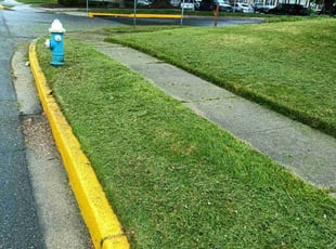 Trudy R.'s Lawn Care service result