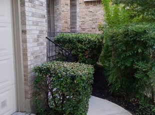 Bush Trimming by Benjamin Garza for Jaime T. in San Antonio, TX