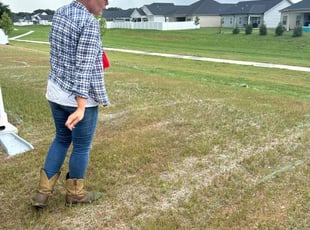 Margaret J.'s Lawn Seeding service result