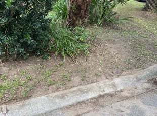 Landscaping by Herschell Bradley for Ryan L. in Tallahassee, FL