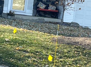 Leaf Removal by Santos Blanco for Puja M. in Minneapolis, MN