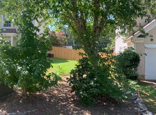 Cleanups by William Clark for S. B. in Marietta, GA