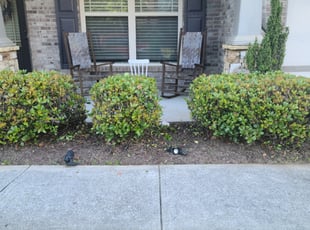 Bush Trimming by Chris Towery for DEREK A. in Lawrenceville, GA